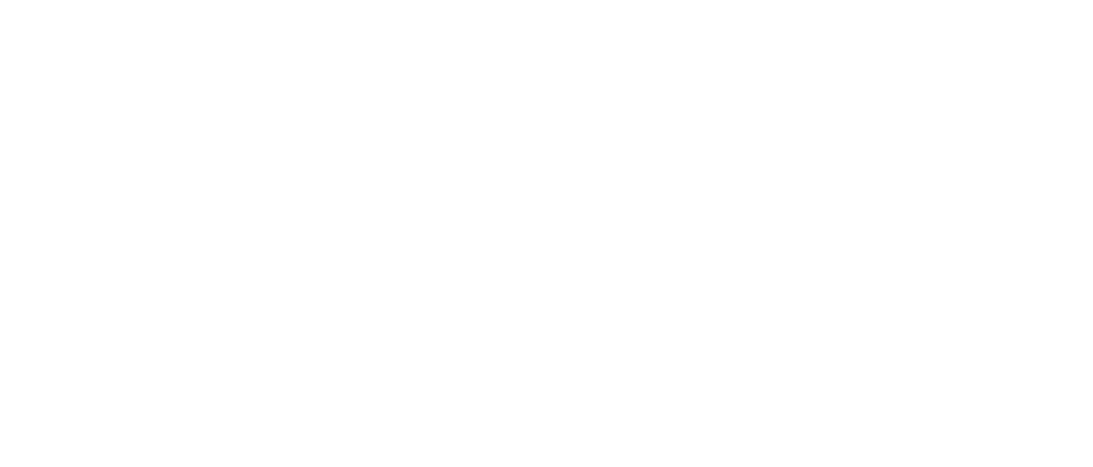 El Poder de la Escoba -  Subasta 