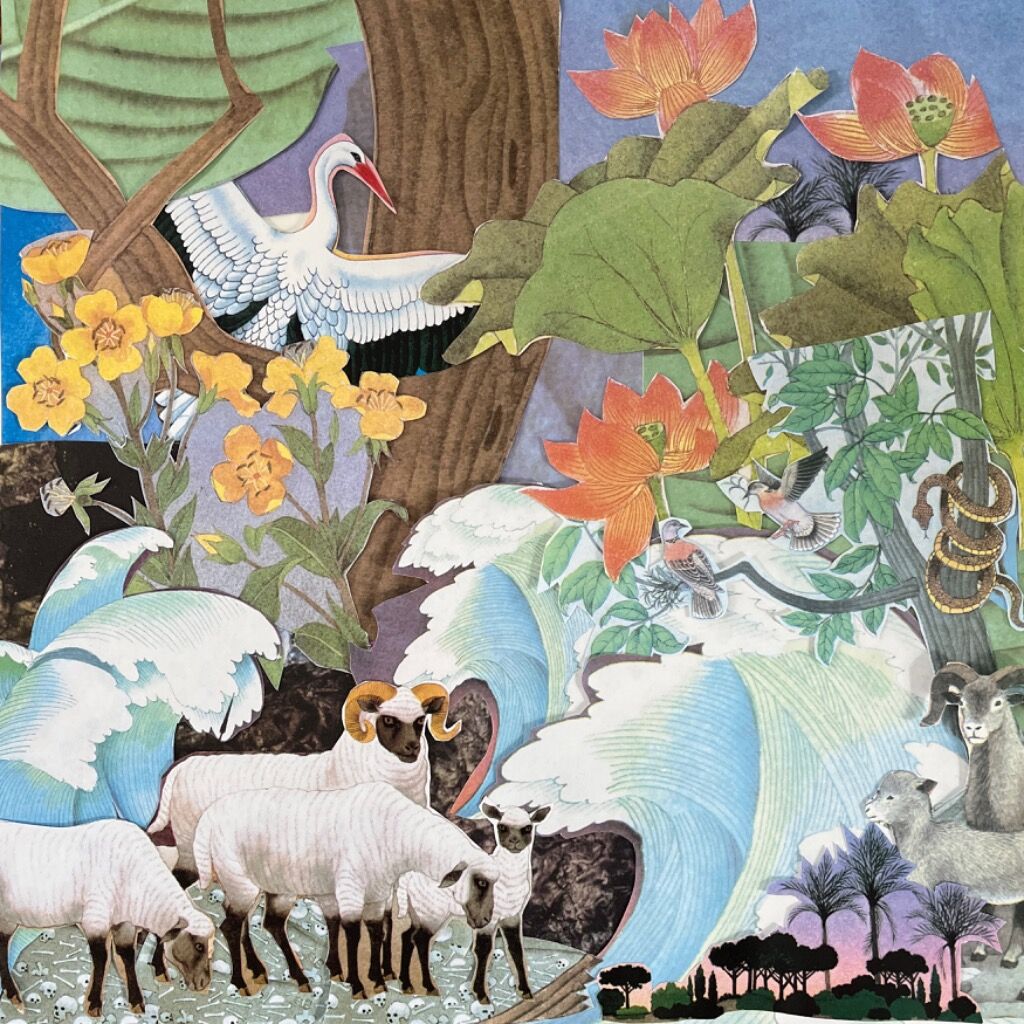 Wild Life | APPLE MUSIC