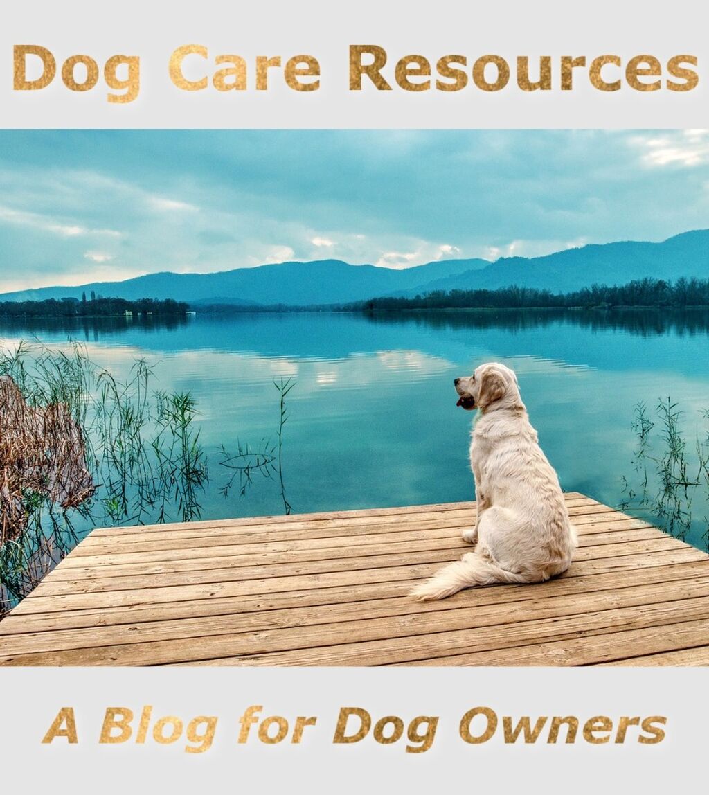 Blog for dog owners