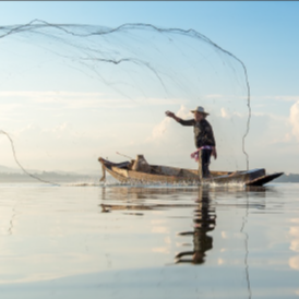 Comprehensive Conservation and Management Plan (CCMP)