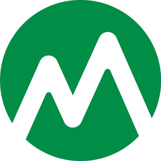 Download Money View App