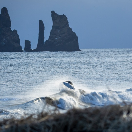 Arctic action