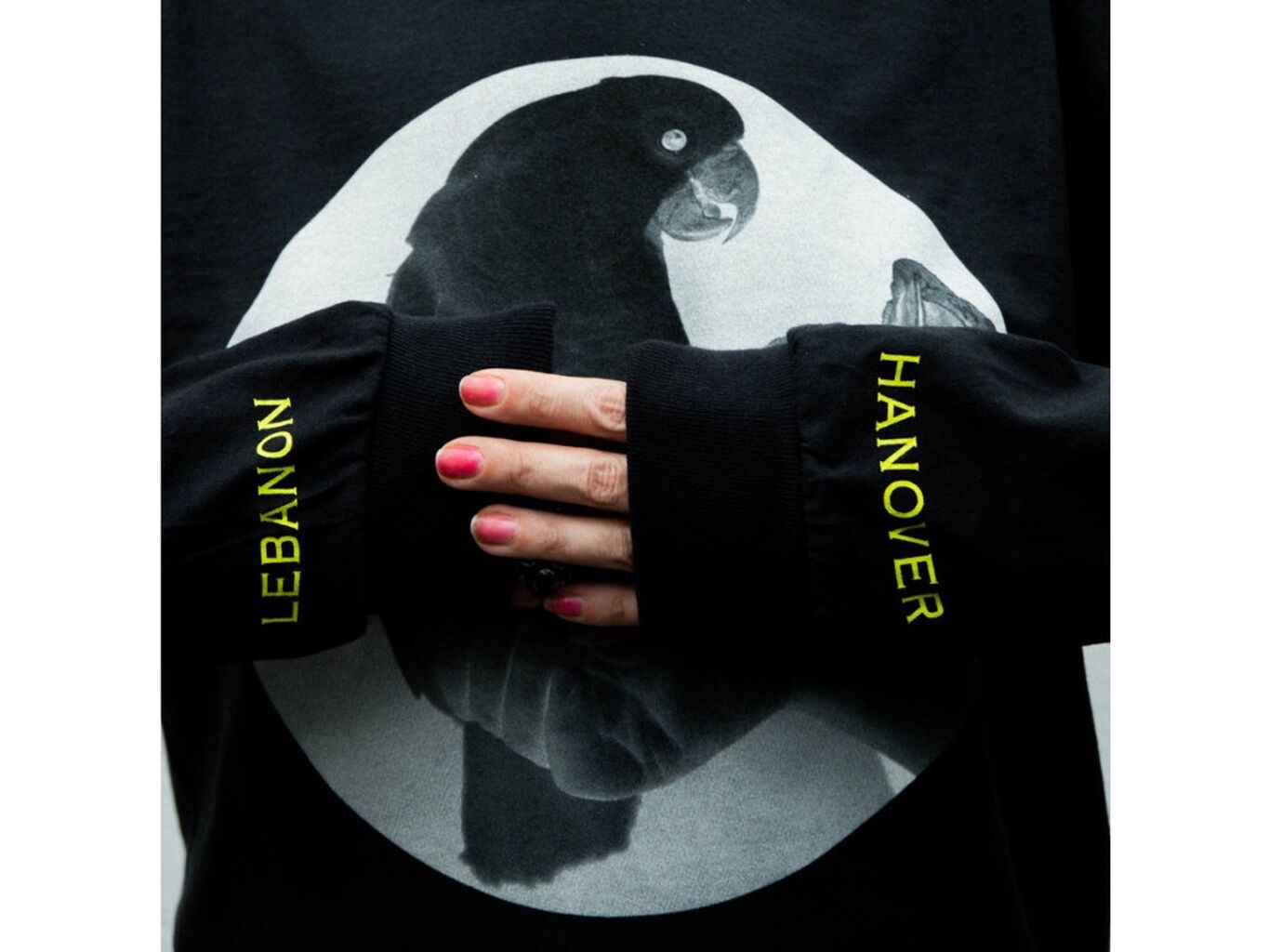 Bandcamp Merch, Vinyl & CD