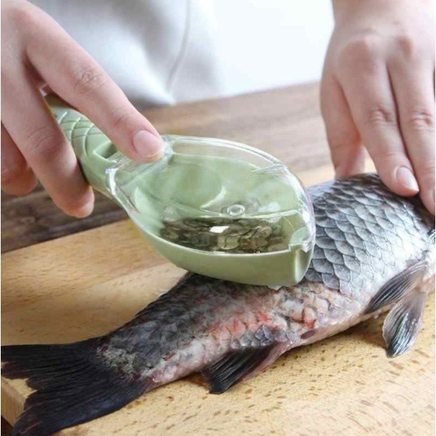 FISH SCALE SCRAPER 