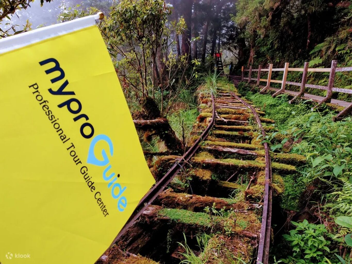 Yilan Adventure: World's Most Beautiful Trails & Hot Spring Eggs