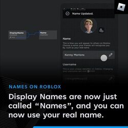 Bloxy News on X: 👀 Where Display Names Appear (Website) Display