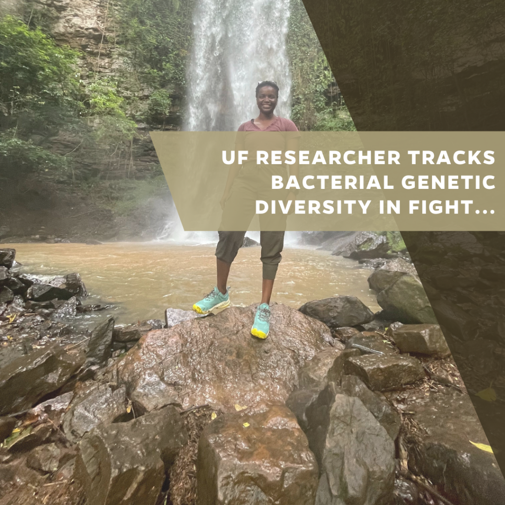 UF researcher tracks bacterial genetic diversity in fight against tuberculosis