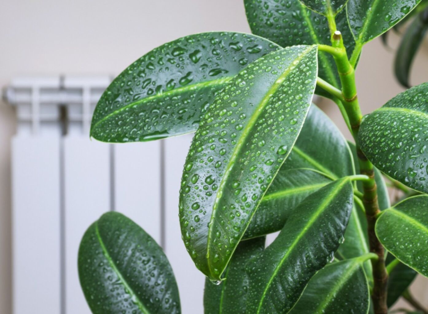 Managing Indoor Humidity