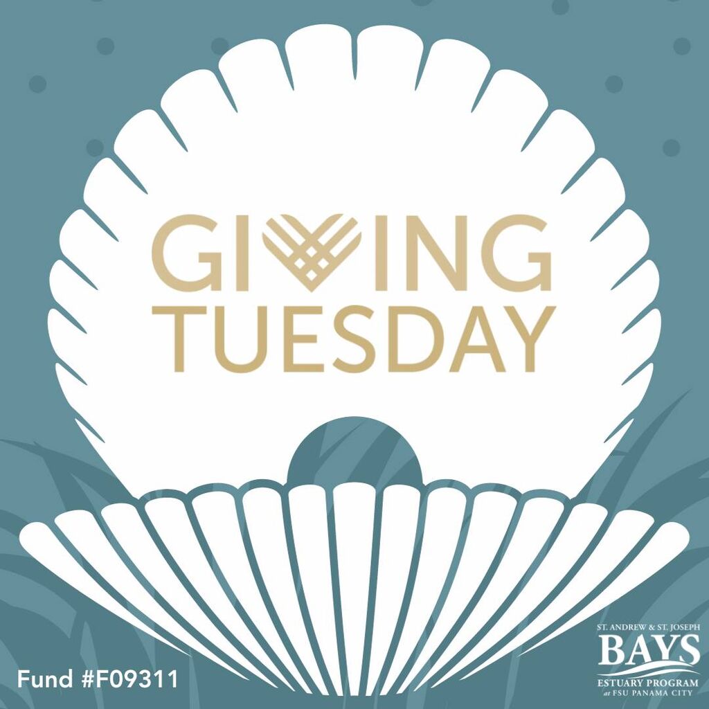 Giving Tuesday