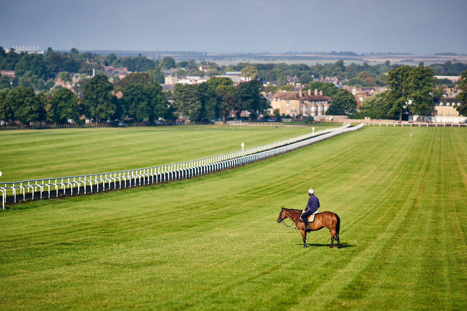 Horses in Training View/Buy