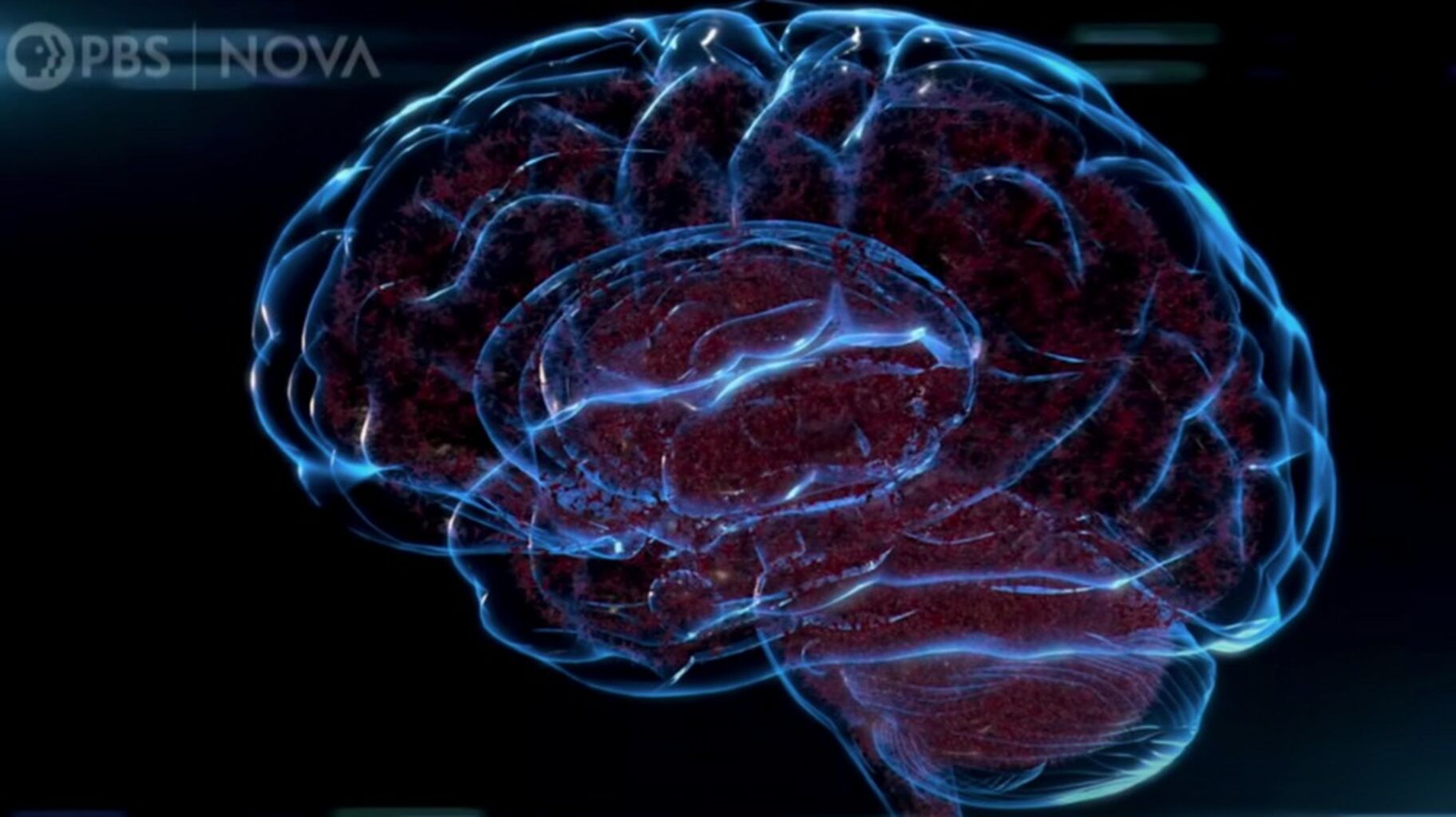 Your Brain: Who's in Control? | Full Documentary
