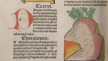 Foyle Special Collections Library Homepage