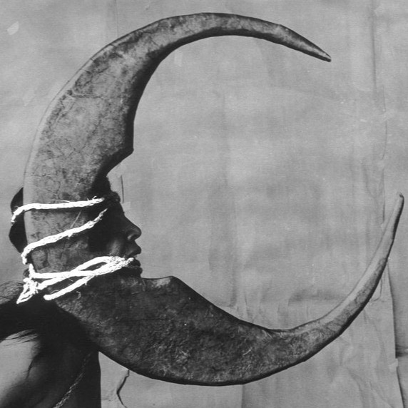 Moonlover