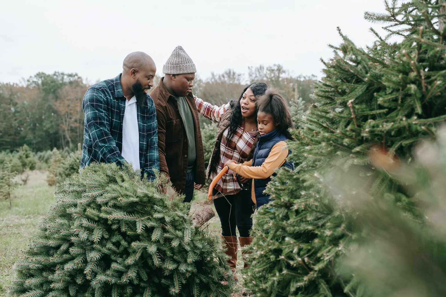 Ontario&rsquo;s Best Pick-Your-Own Tree Farms | Ontario Culinary