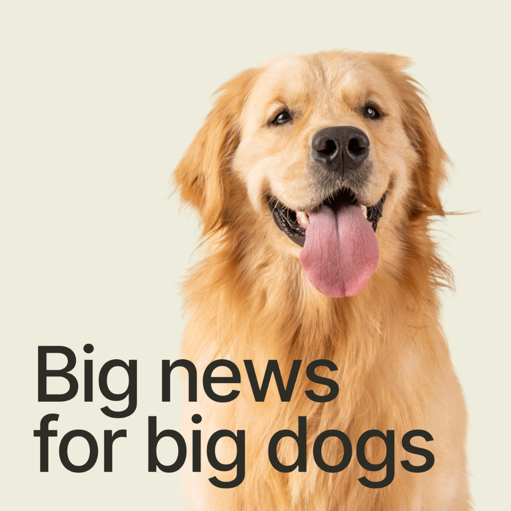 FDA Center for Veterinary Medicine agrees Loyal&rsquo;s data supports reasonable expectation of effectiveness for large dog lifespan extension