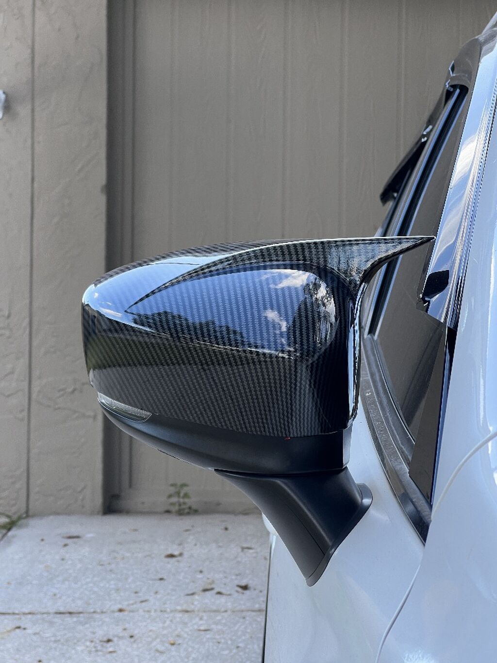Mirror Cap Horns