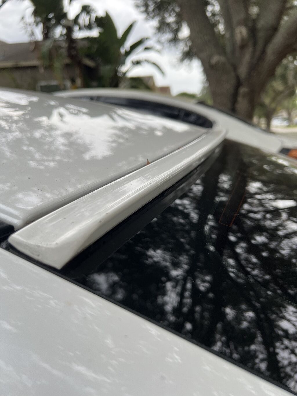 Rear Roof Spoiler
