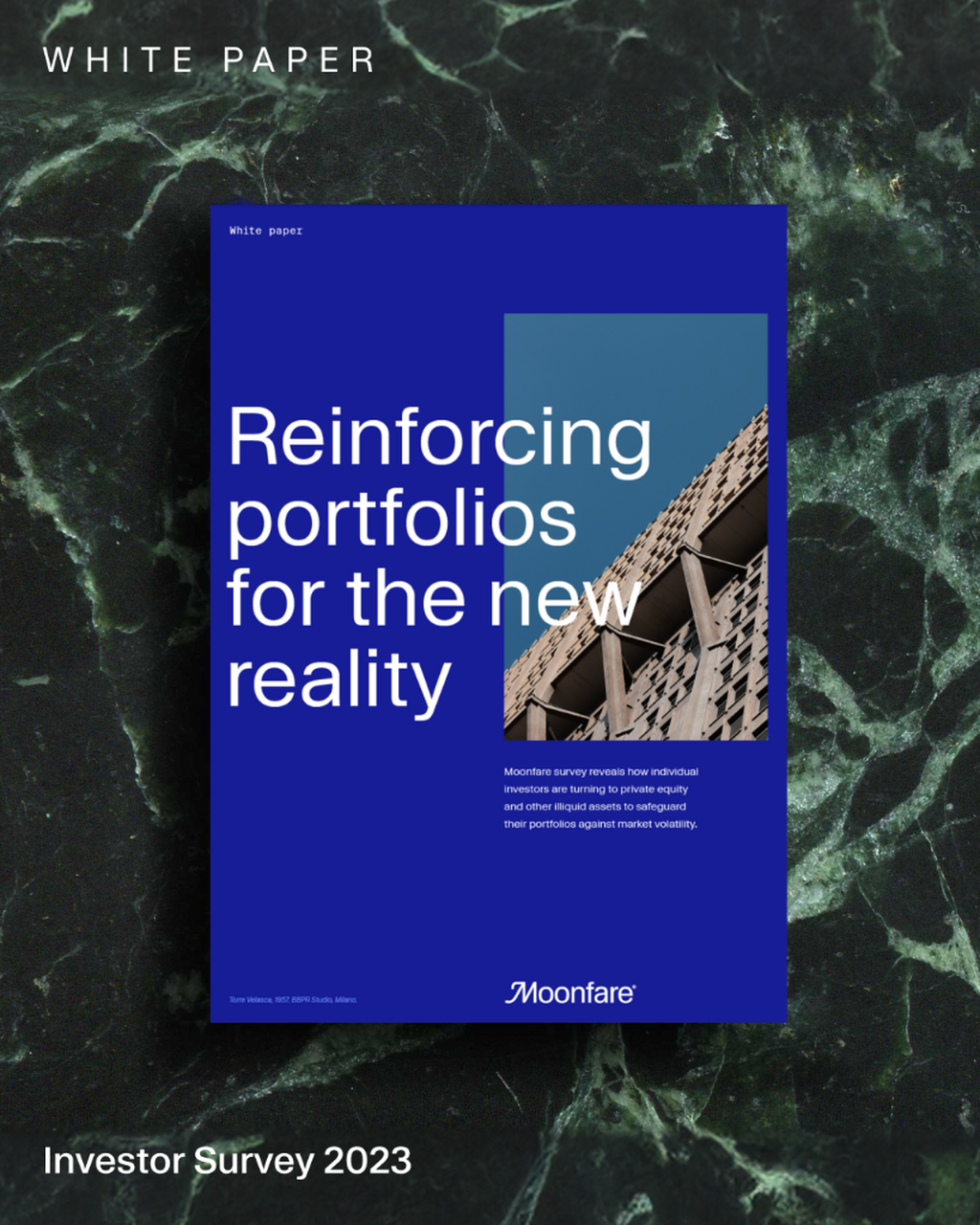Investor Survey Report 2023