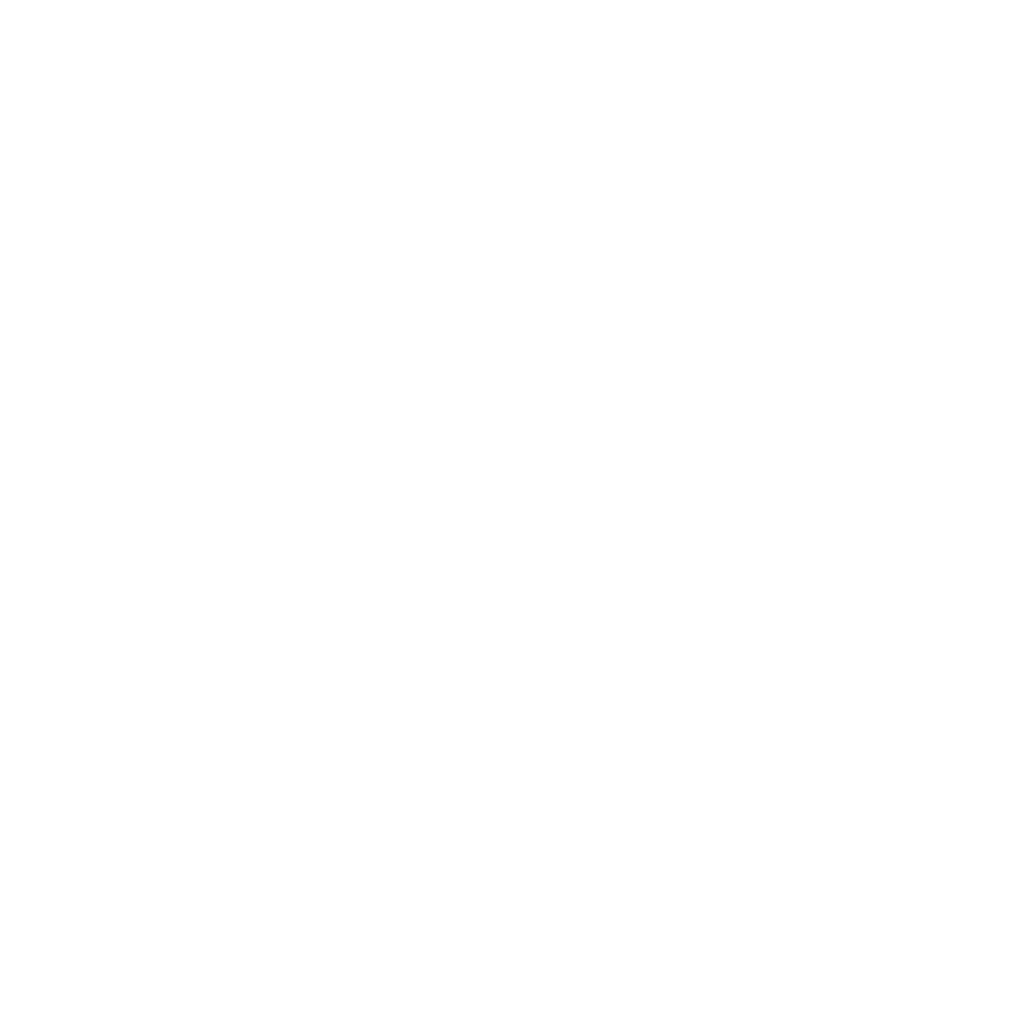 Our Website