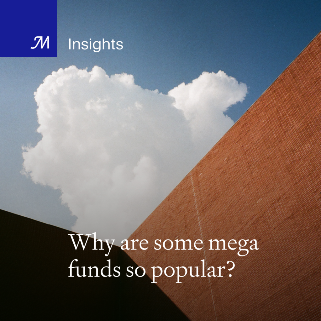 Mega Funds Blog Post