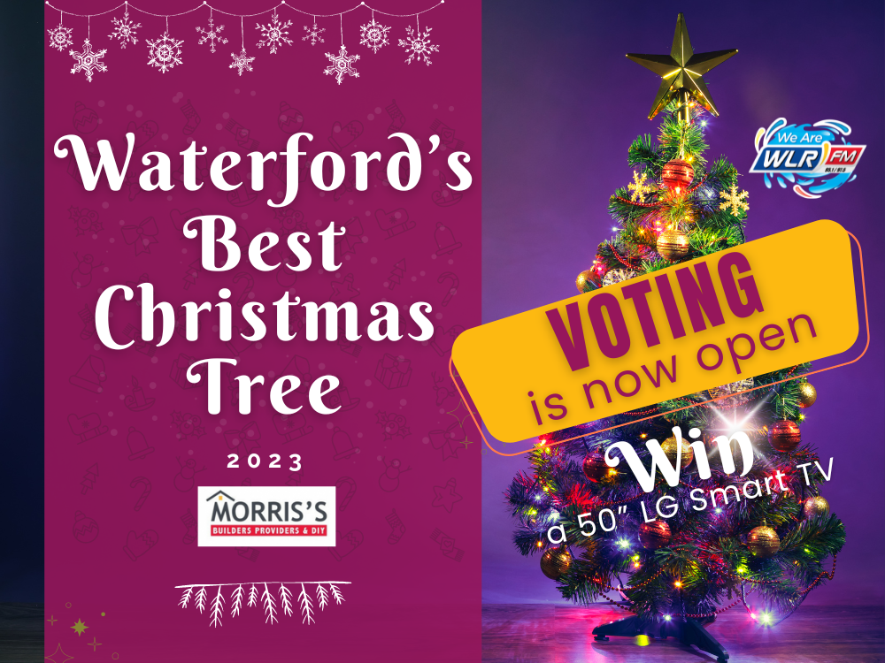 VOTE: Waterford's Best Christmas Tree With Morris's DIY
