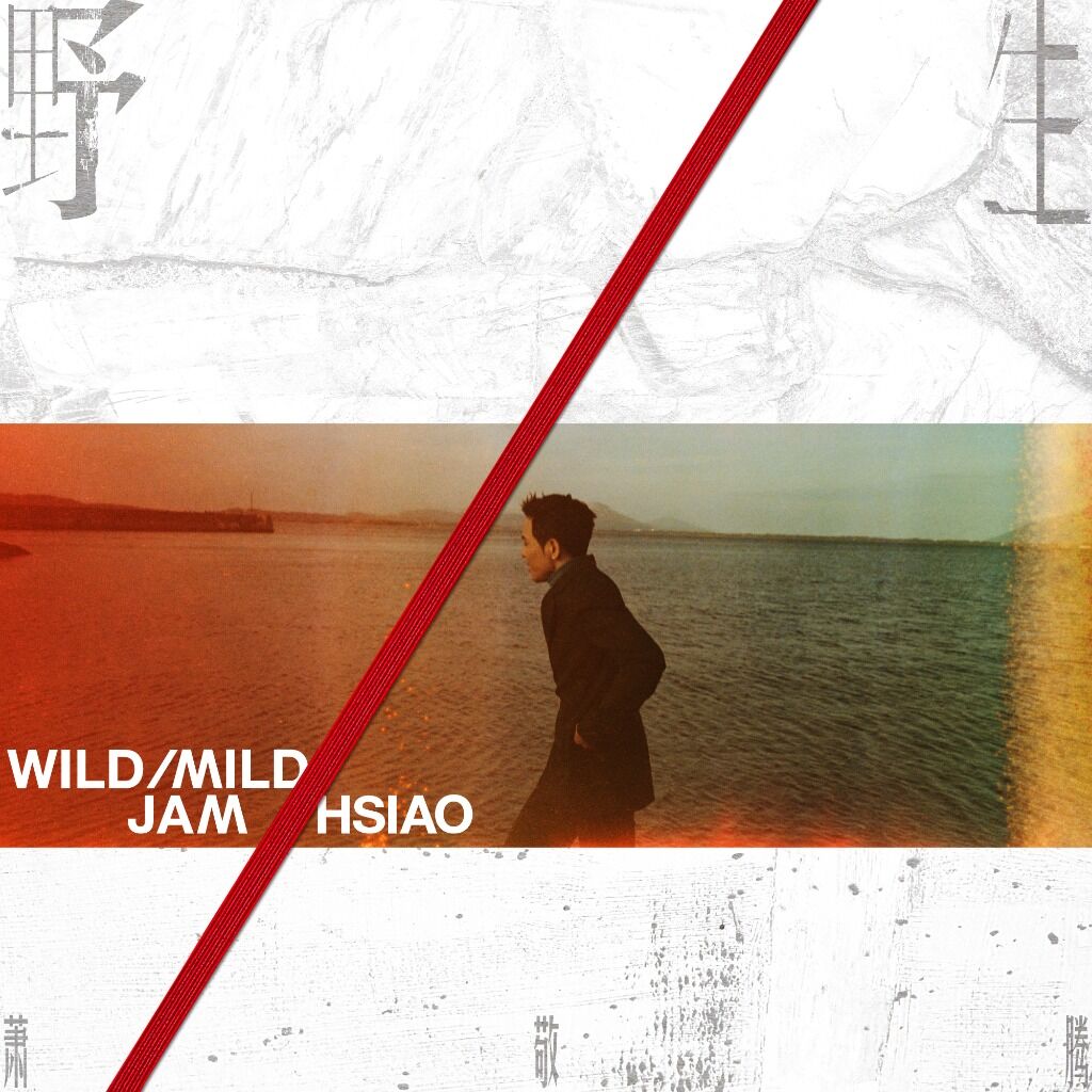 Jam Hsiao 萧敬腾 - 野生