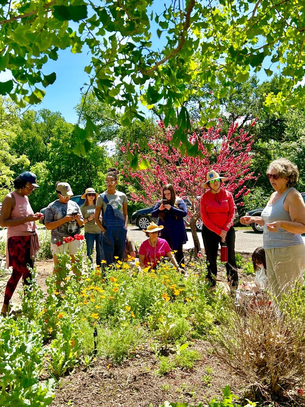 Herbal Bookshop Supporting SJS Scholarships