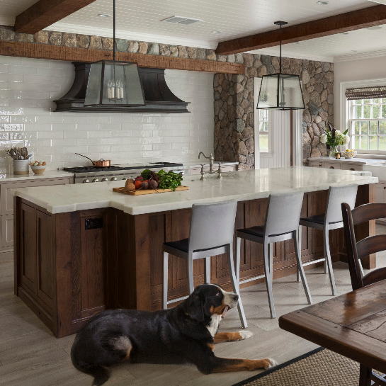 Home Design with Pets in Mind
