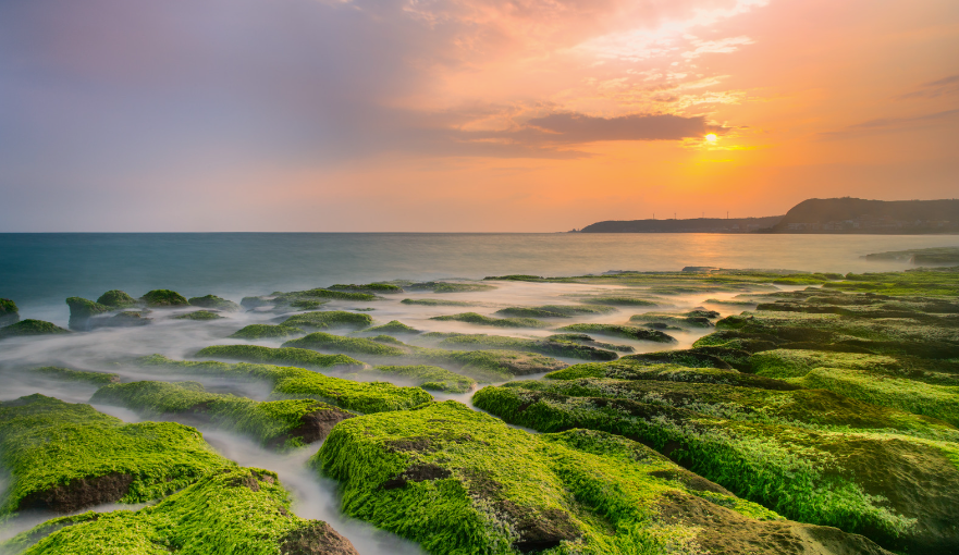 Taipei Coastal Wonders: Yehliu Geopark, Laomei Green Reef, Lighthouse