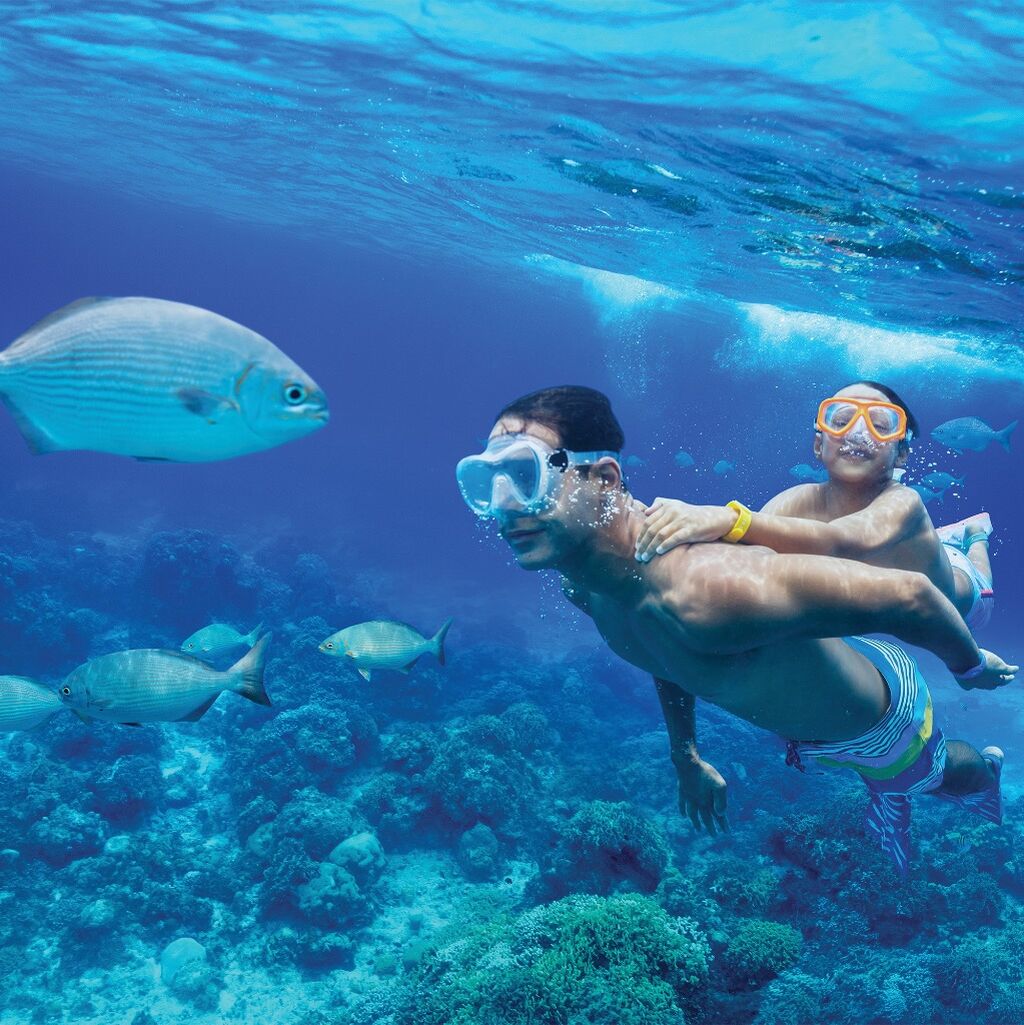 Guide to the Best 2024-2025 Cruises