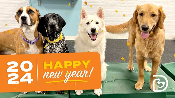 January 2024 Newsletter