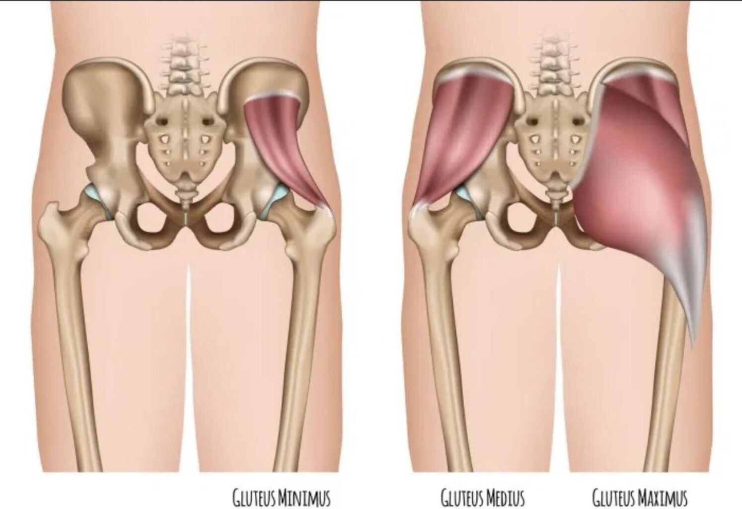 Hip pain (Unlock Your Hip Flexors)