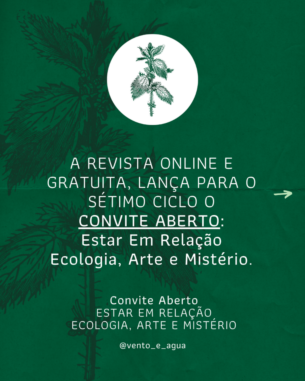 Convite Aberto ESTAR EM RELA&Ccedil;&Atilde;O &ndash; ECOLOGIA, ARTE E MIST&Eacute;RIO 