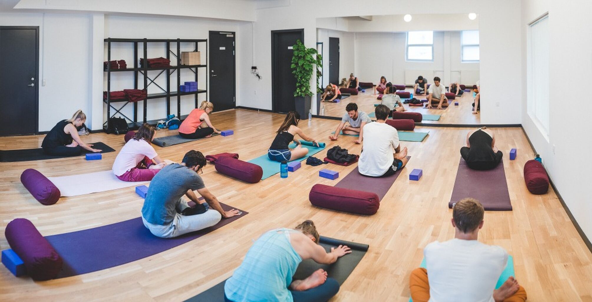YOGA CLASSES