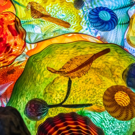 Chihuly Nights