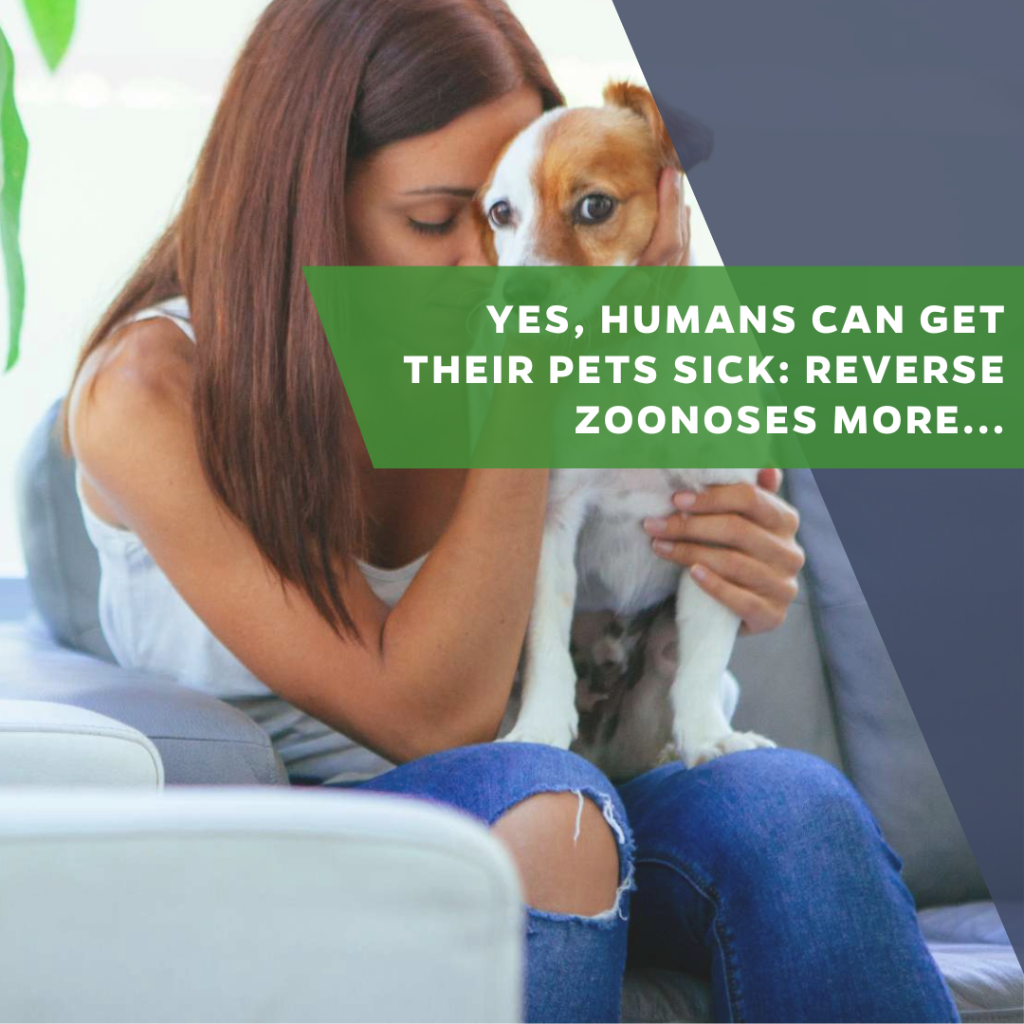 Yes, humans can get their pets sick: reverse zoonoses more common than once thought&nbsp; &raquo;  Emerging Pathogens Institute &raquo; University of Florida
