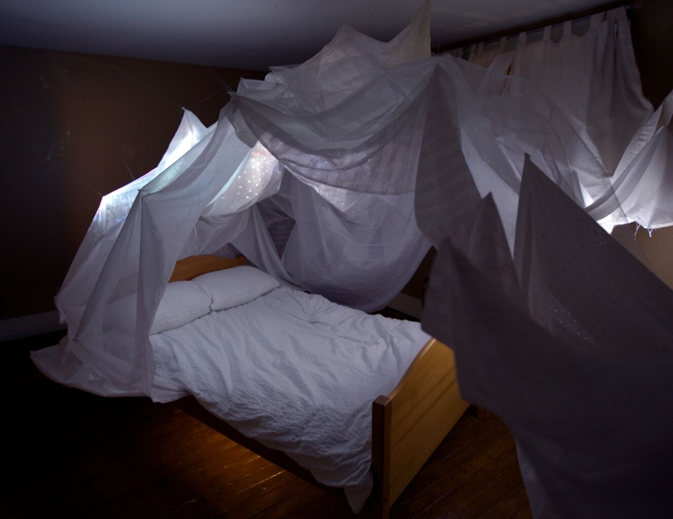 radio - RAPID EAR MOVEMENT - ears have eyes