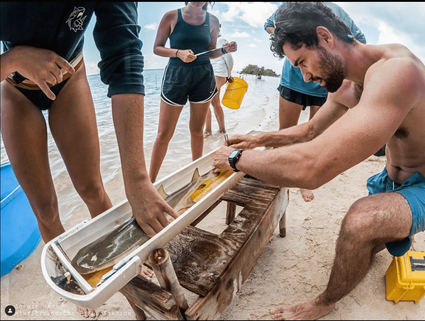 Why Netflix's &lsquo;Love Is Blind&rsquo; Contestant Paul Peden Cares About the Science of Sustainable Seafood - Marine Stewardship Council