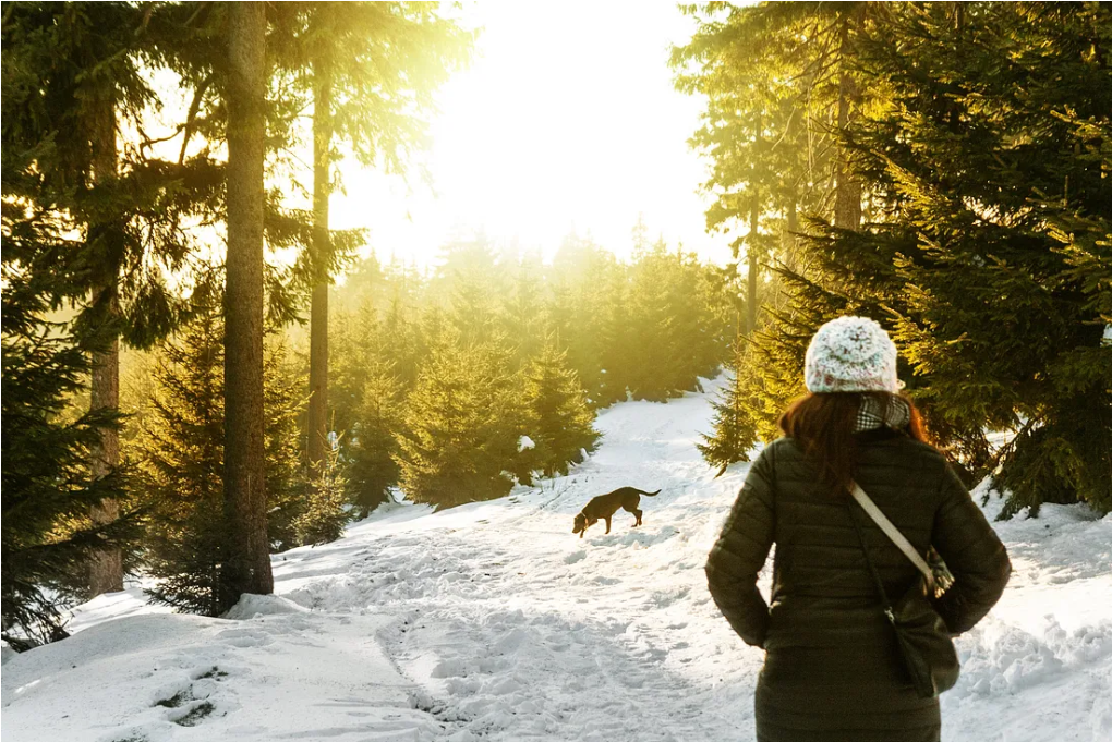 Managing Perimenopause and the Morning Walk