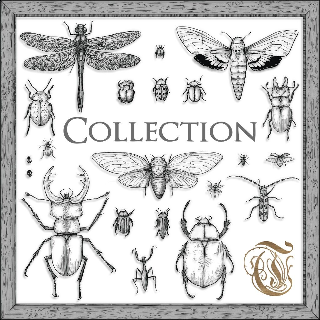 Listen to the Collection EP