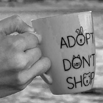 read our stories / blog
