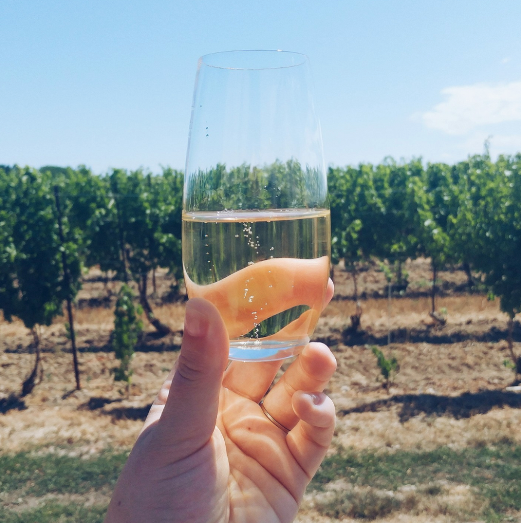 wine-country-ontario/