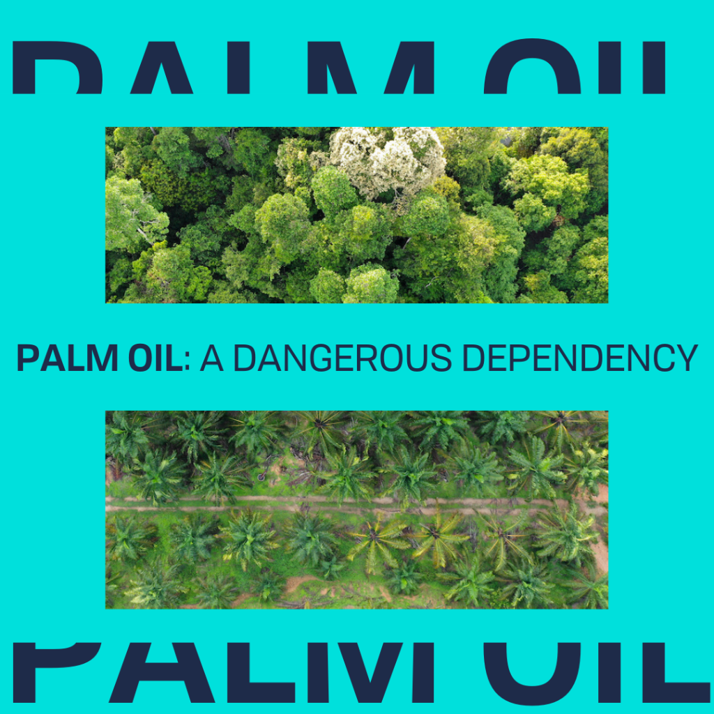 PALM OIL: A DANGEROUS DEPENDENCY