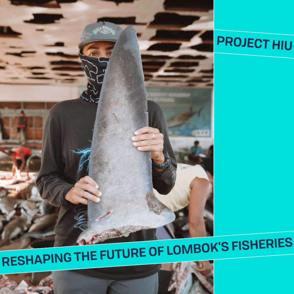 PROJECT HIU: RESHAPING THE FUTURE OF LOMBOK'S FISHERIES