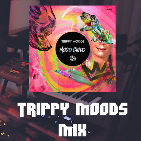 TRIPPY MOODS MIX 🍄