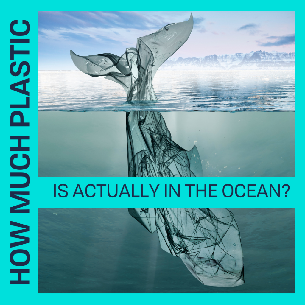 HOW MUCH PLASTIC IS ACTUALLY IN THE OCEAN?