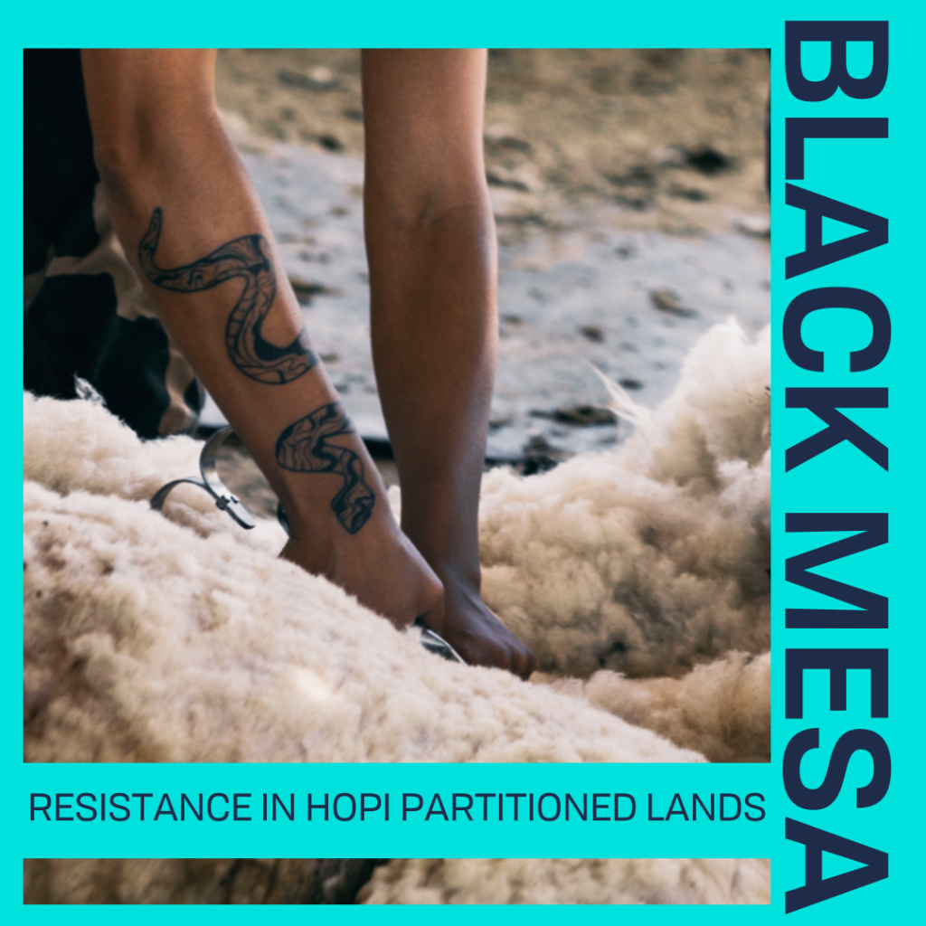 BLACK MESA RESISTANCE IN HOPI PARTITIONED LANDS