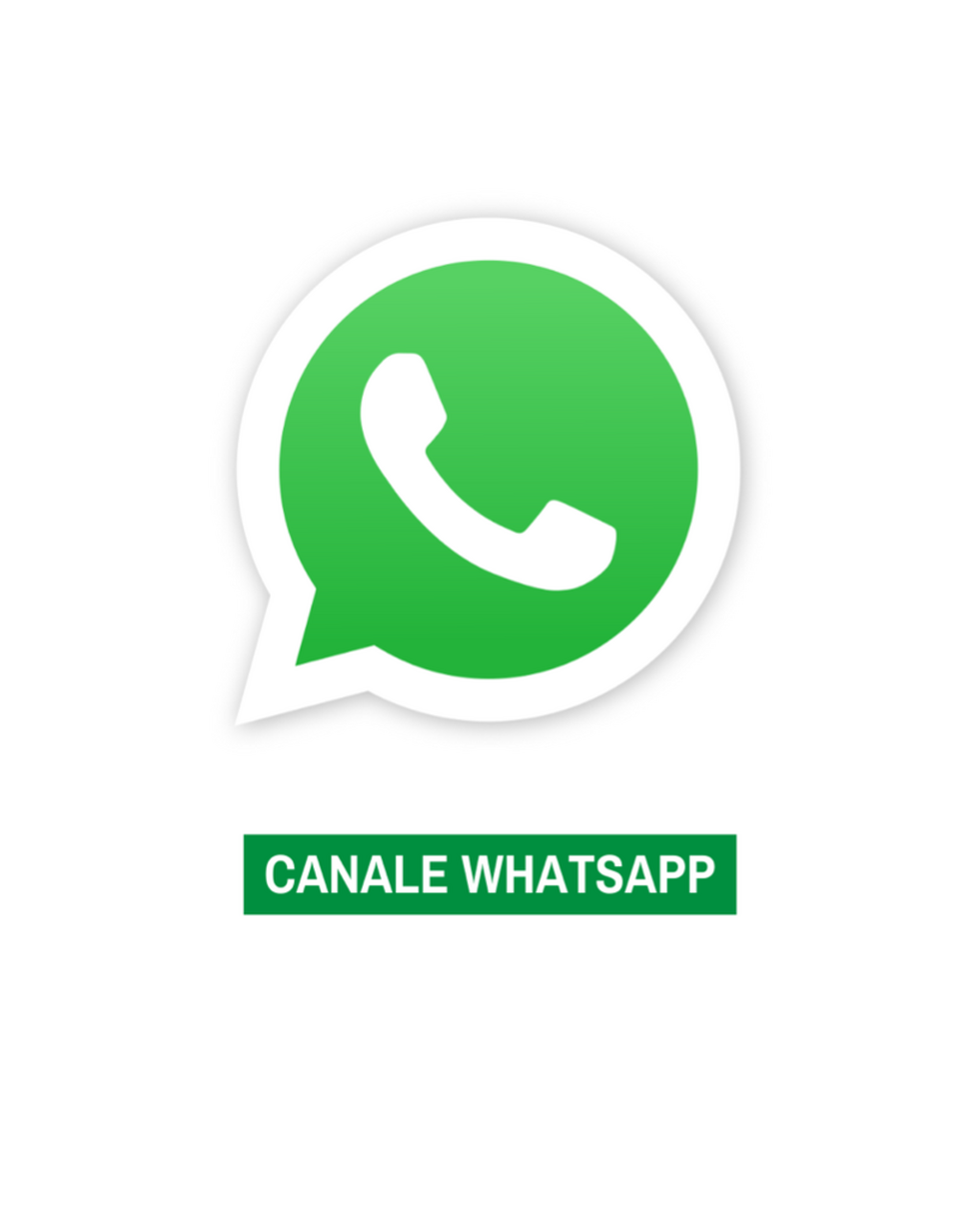 Whatsapp fissato logo grande