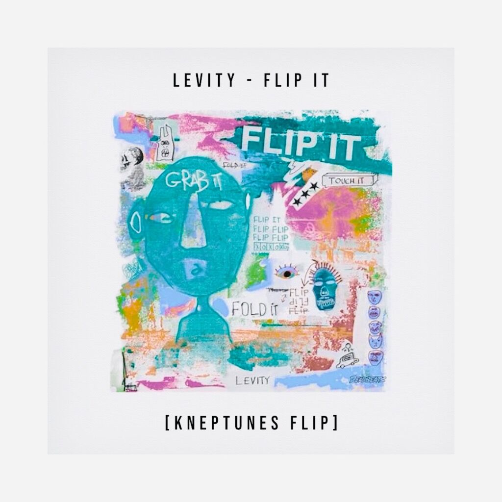 Levity - FLIP IT (kneptunes flip)