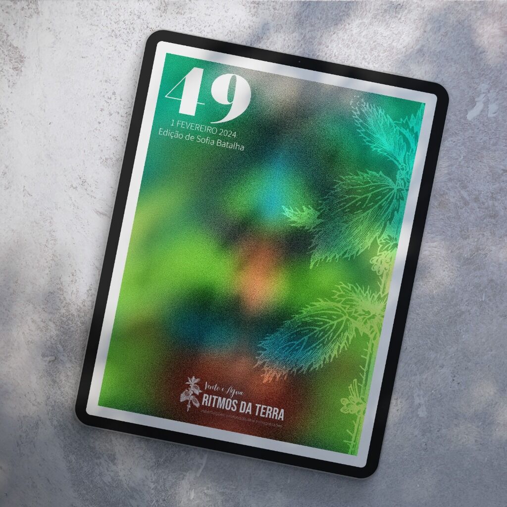 Revista 49 - Edi&ccedil;&atilde;o de Sofia Batalha